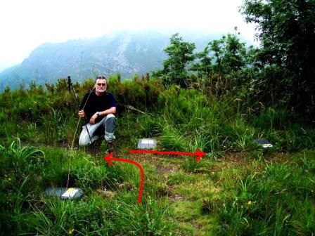 [BOSQUE+DE+MOAL+033.jpg]