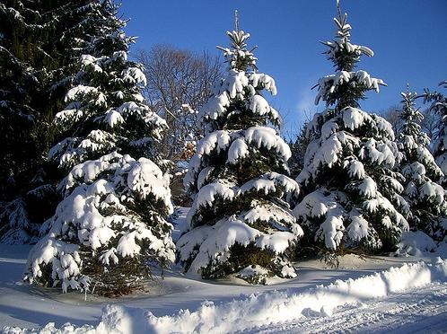 [espera+post621.JPG]