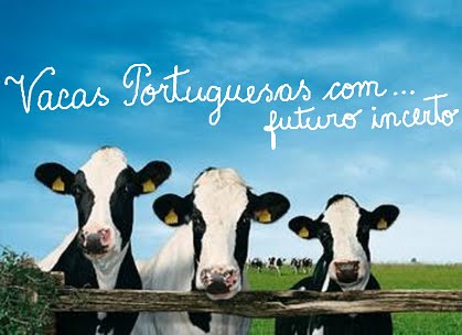 [espera+post+59b.bmp]