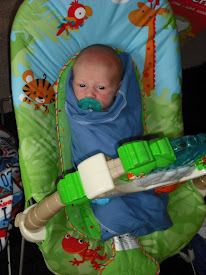 Senor Burrito