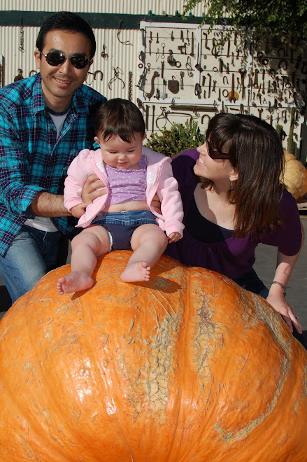 Giant pumpkin!