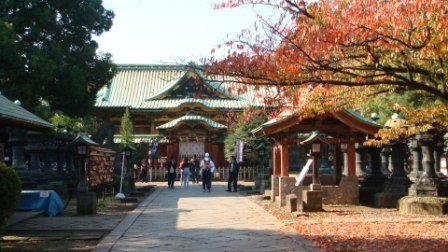 [DSC02565.JPG]