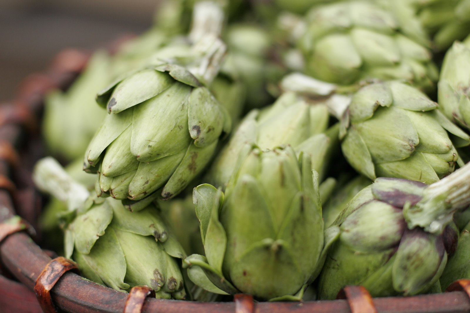 [Artichokes.JPG]