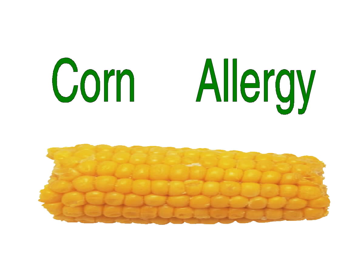 Free Posters and Signs Corn Allergy