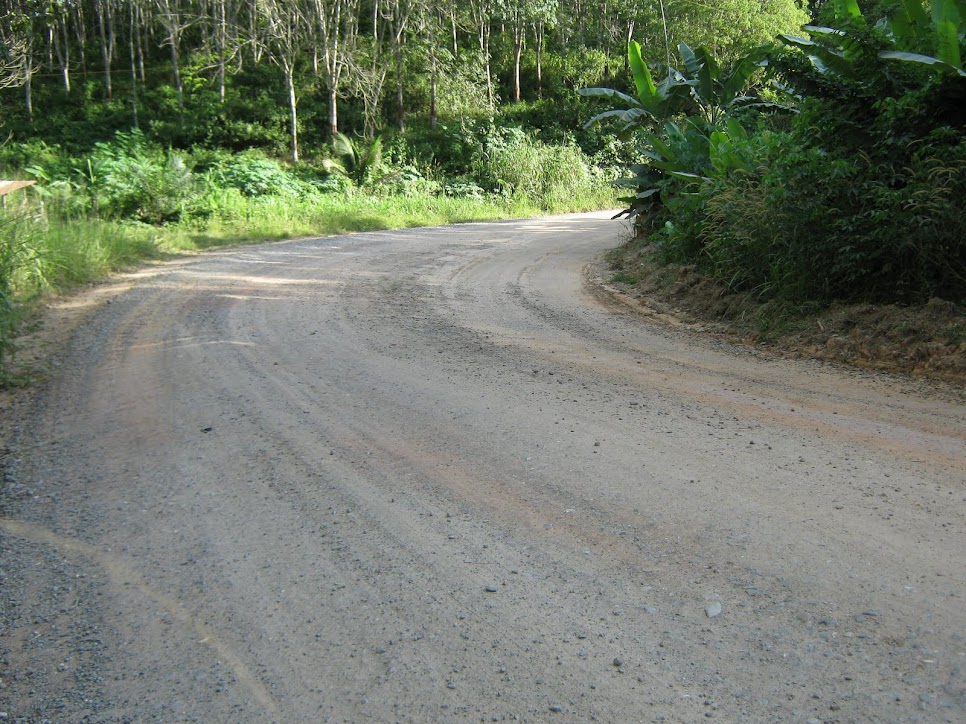 JALAN RAYA MASUK KEKAMPUNG GAULAN