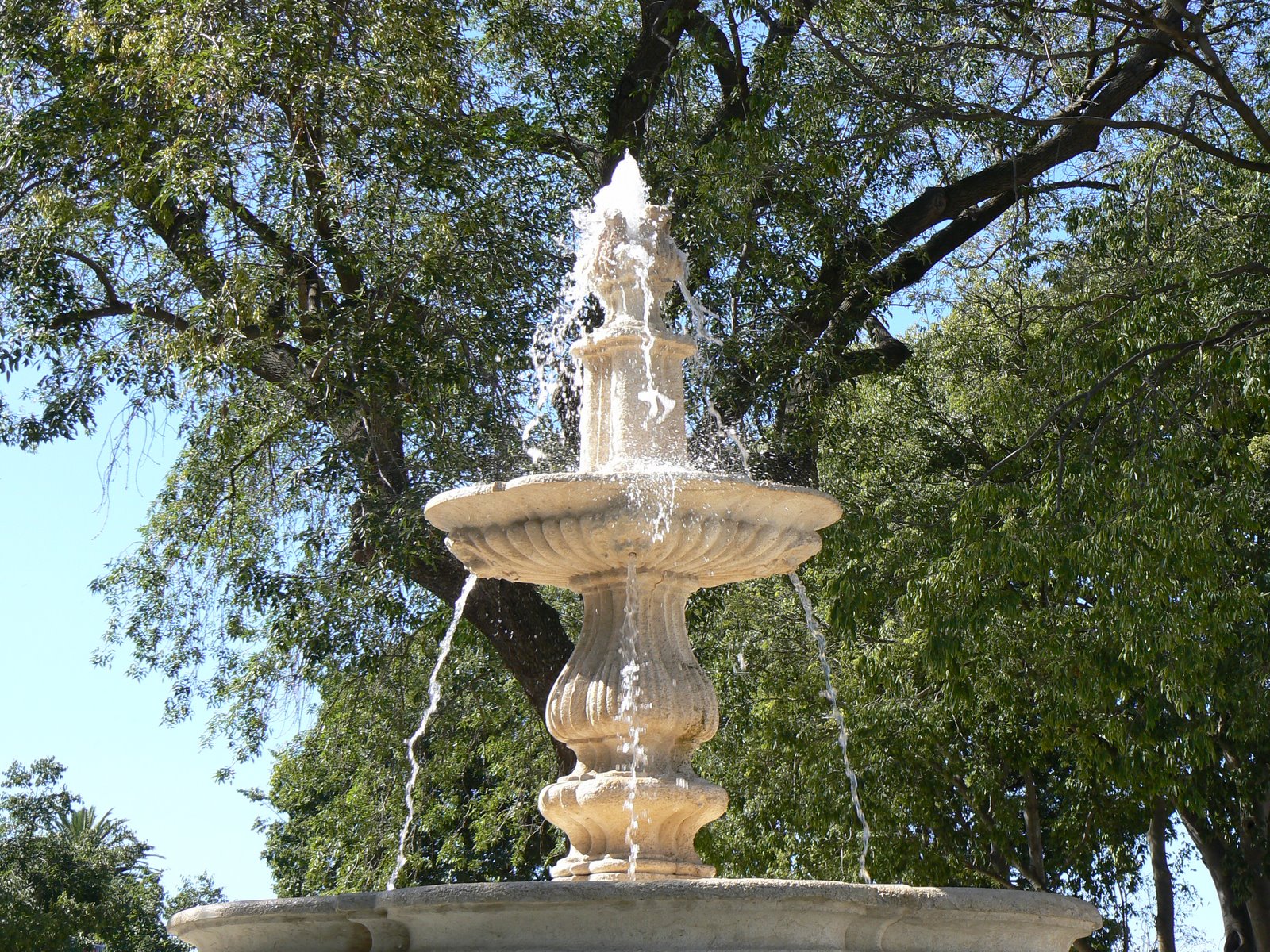 [P1070511.JPG]