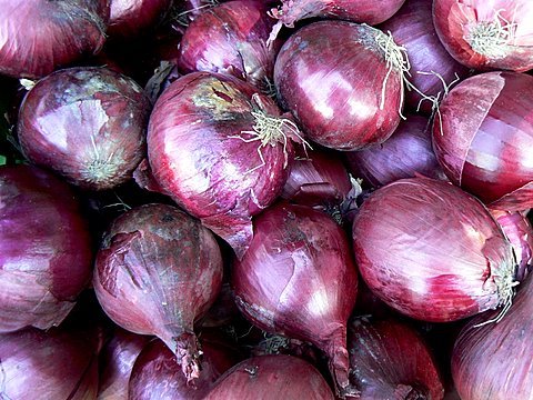 [cebolas.JPG]