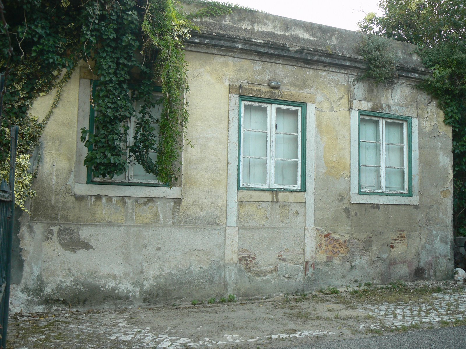 [P1060876.JPG]