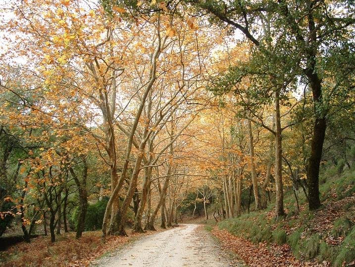 [Tapada-de-MAFRA.jpg]