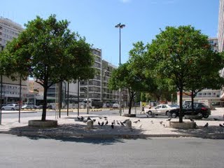 [A-LARANJEIRAS]