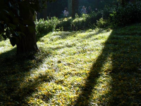 [Arboreto-Outono-2009.JPG]