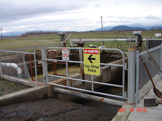 Anaerobic digester holding tanks