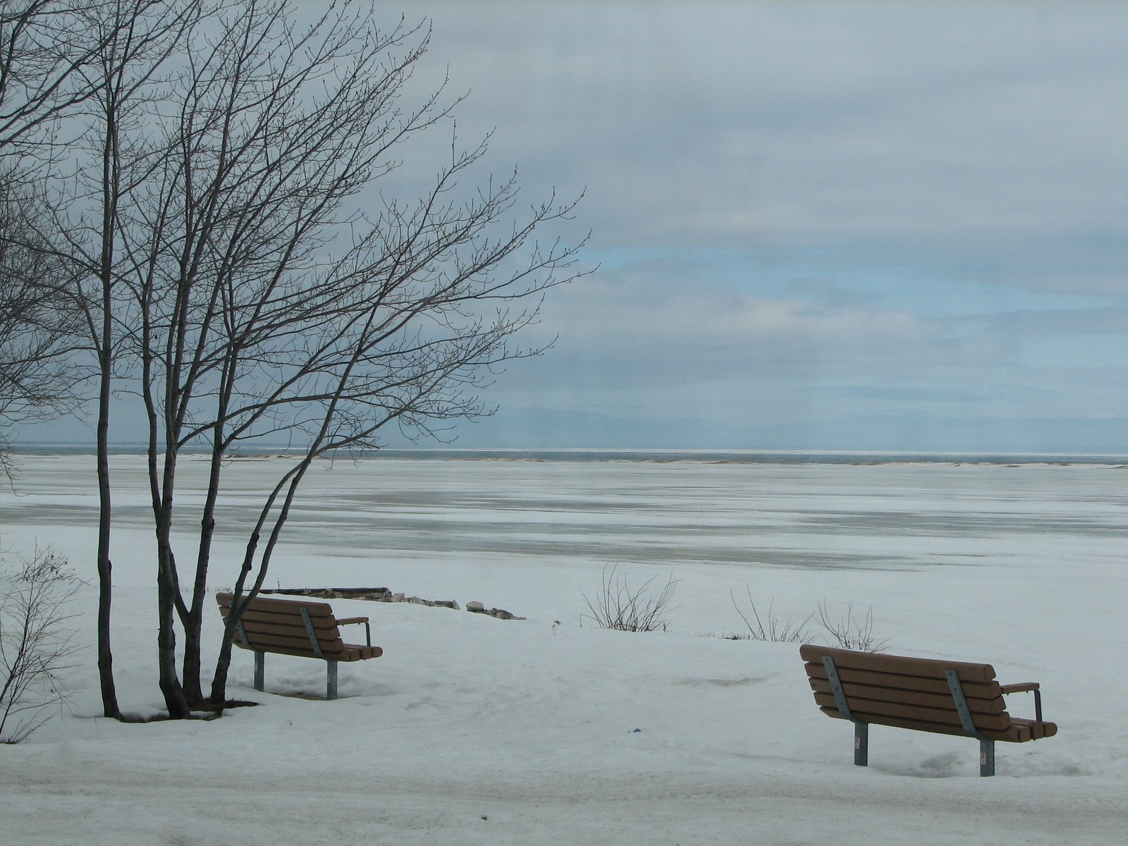 [IMG_4520.JPG]