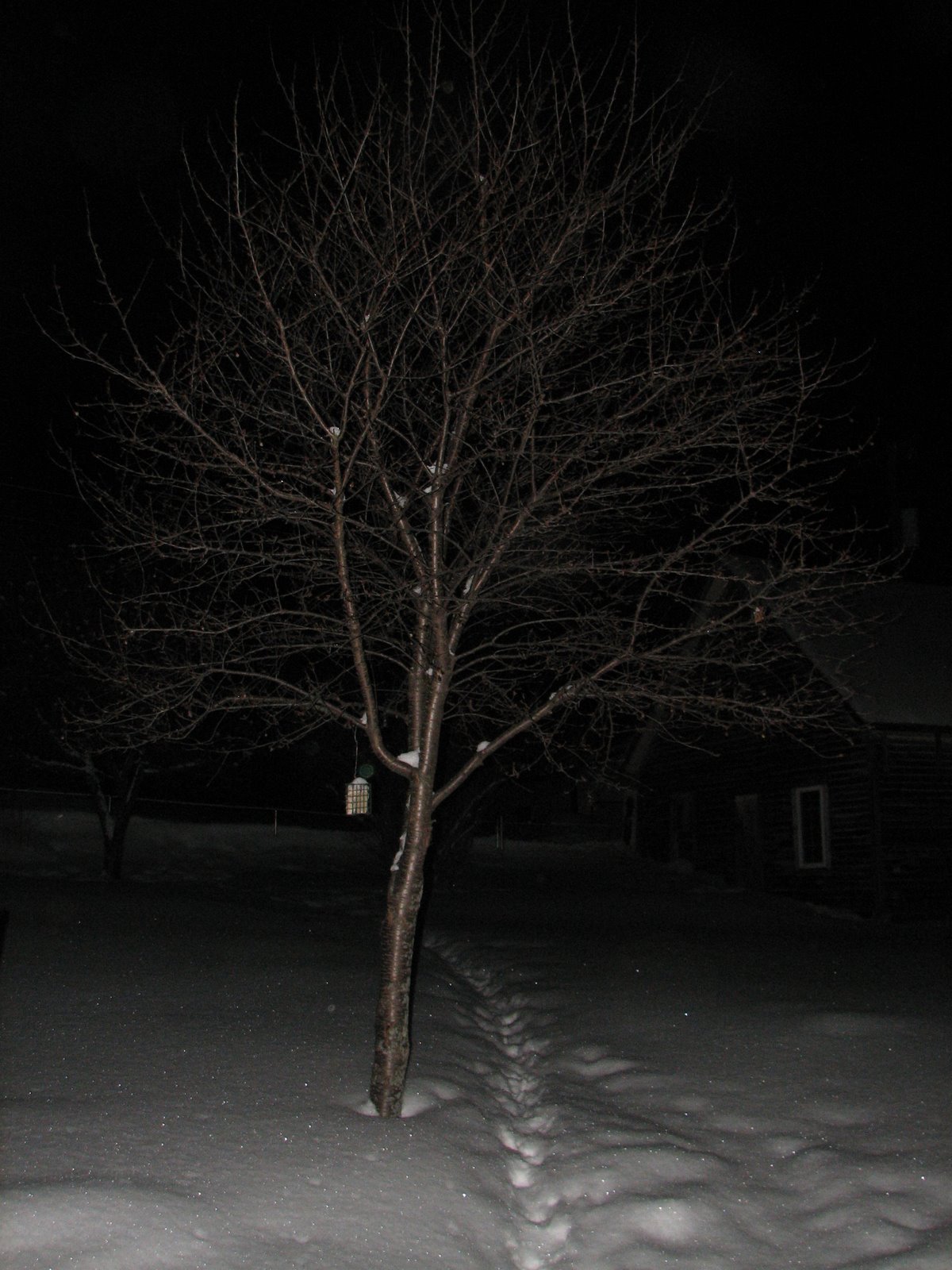 [IMG_5270.JPG]