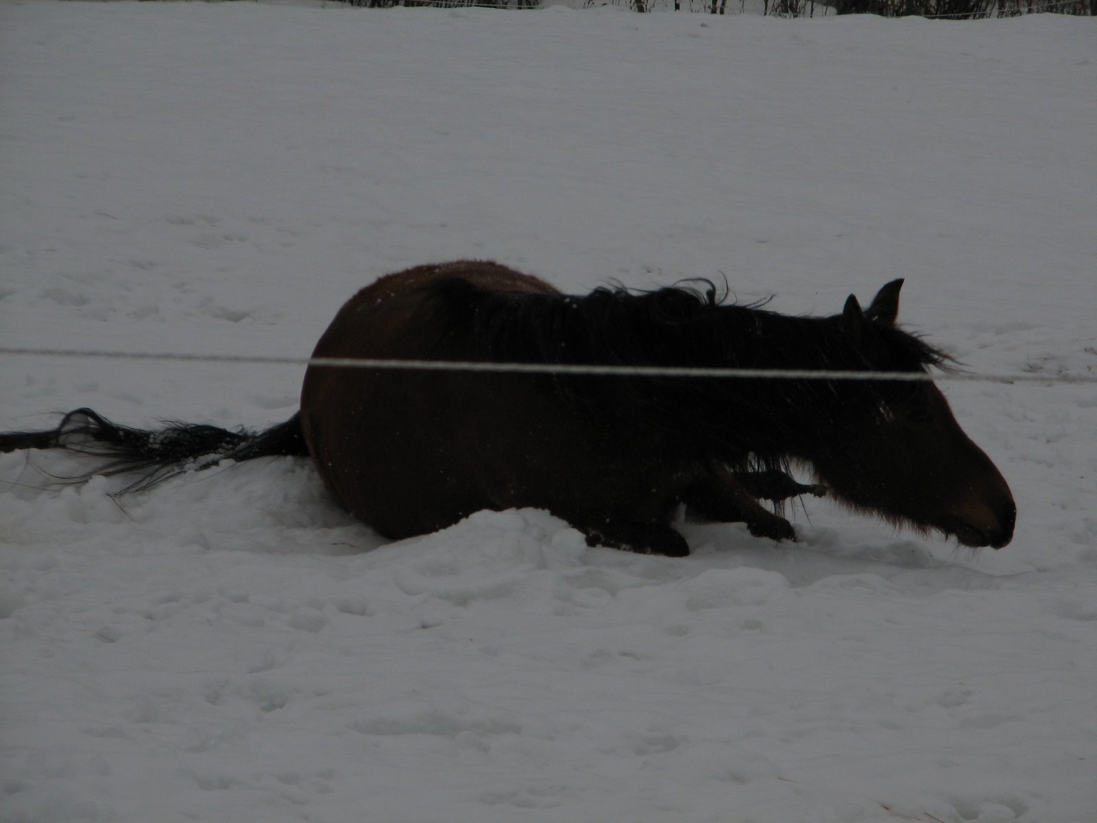 [IMG_5670.JPG]