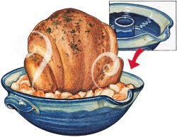 [deep+dish+chicken+cooker.jpg]