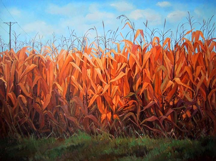 Dzvinka's Paintings "Corn Field," oil on canvas, 30" x 40"