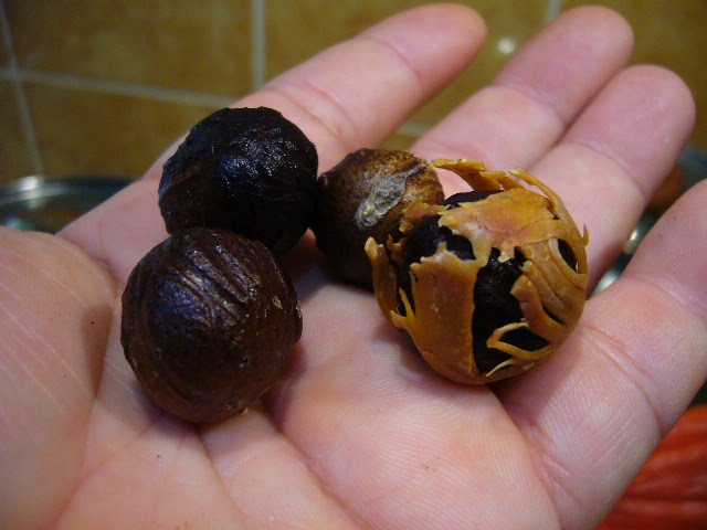 Biji Buah Pala