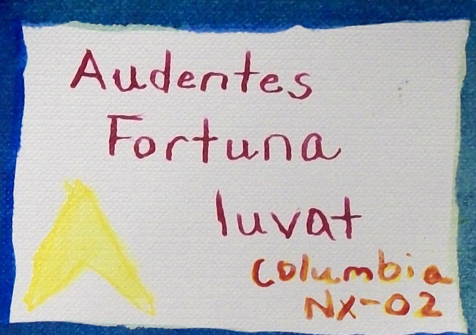 Fortis fortuna adiuvat image