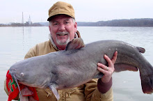 33 pound Ohio River Bluecat