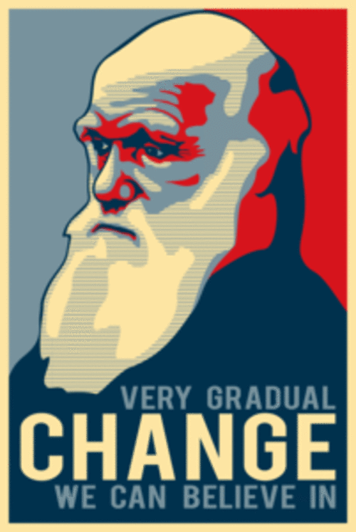 [darwin1sm.jpg]