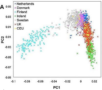 genetic map