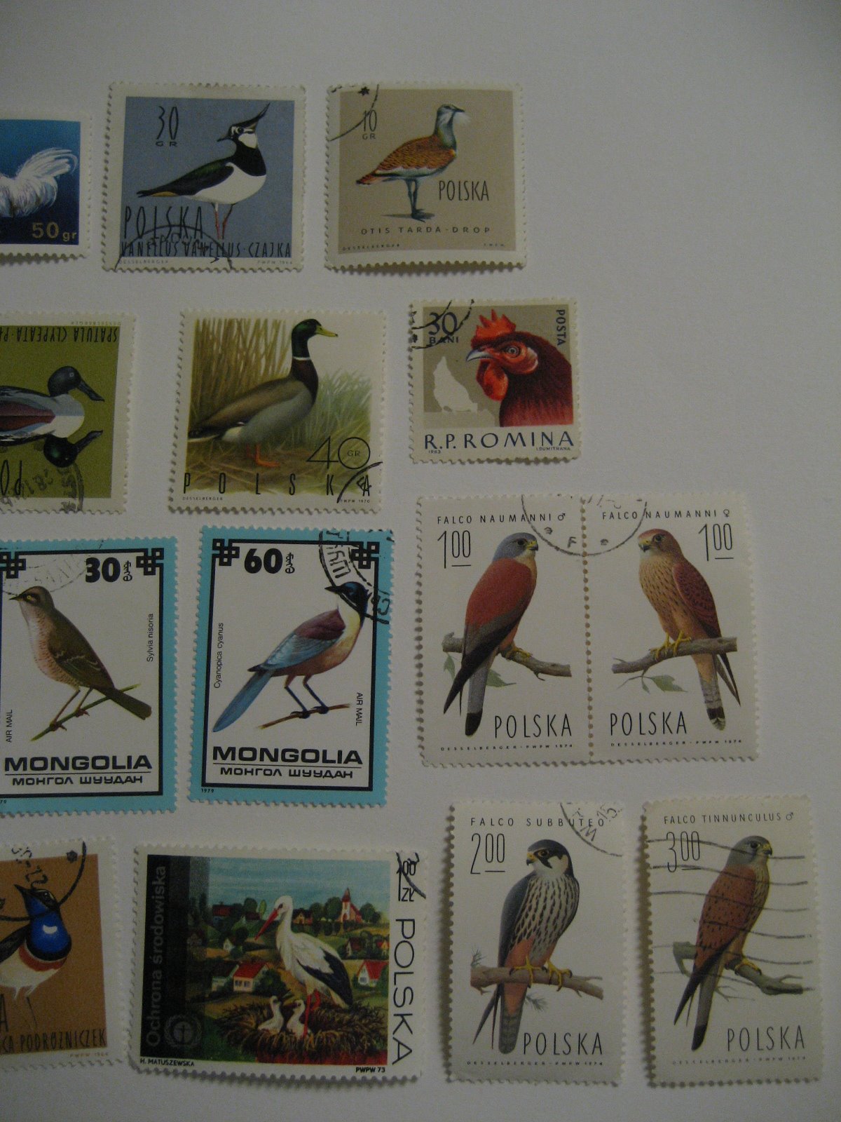 [stamps+003.jpg]