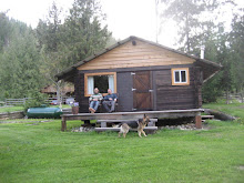 Our Cabin in the Woods