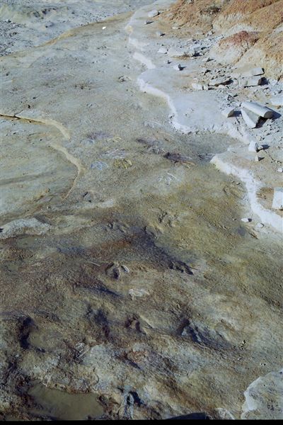 [Photo24-707724.jpg]