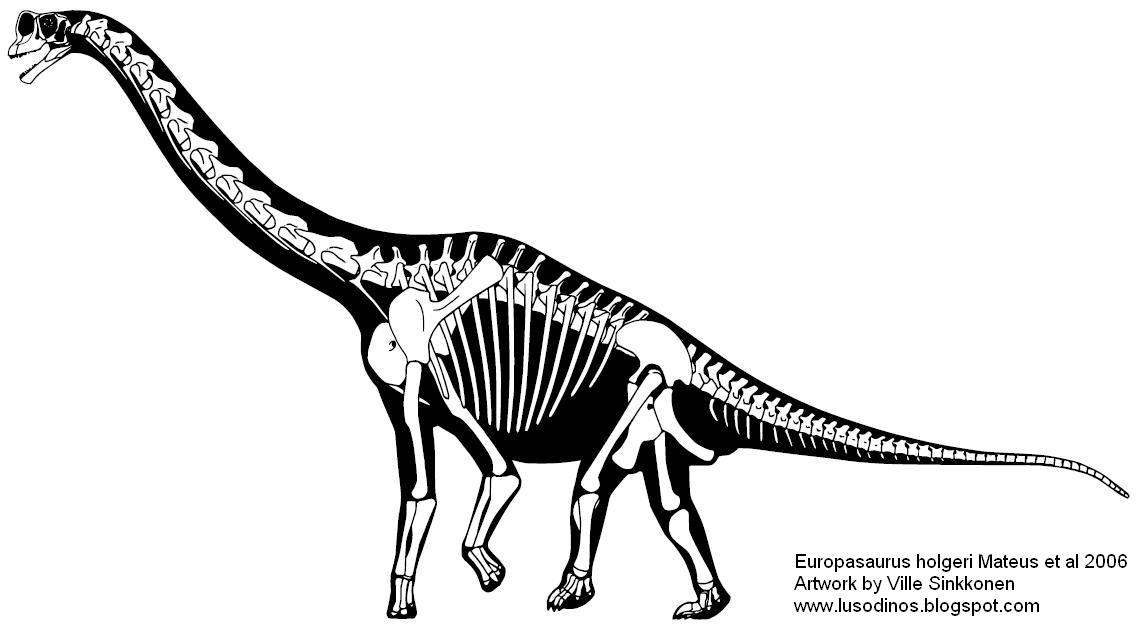 [Europasaurus.JPG]
