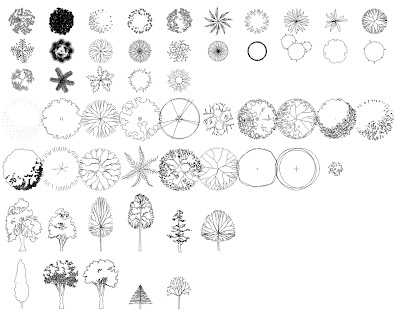Arboles En Planta