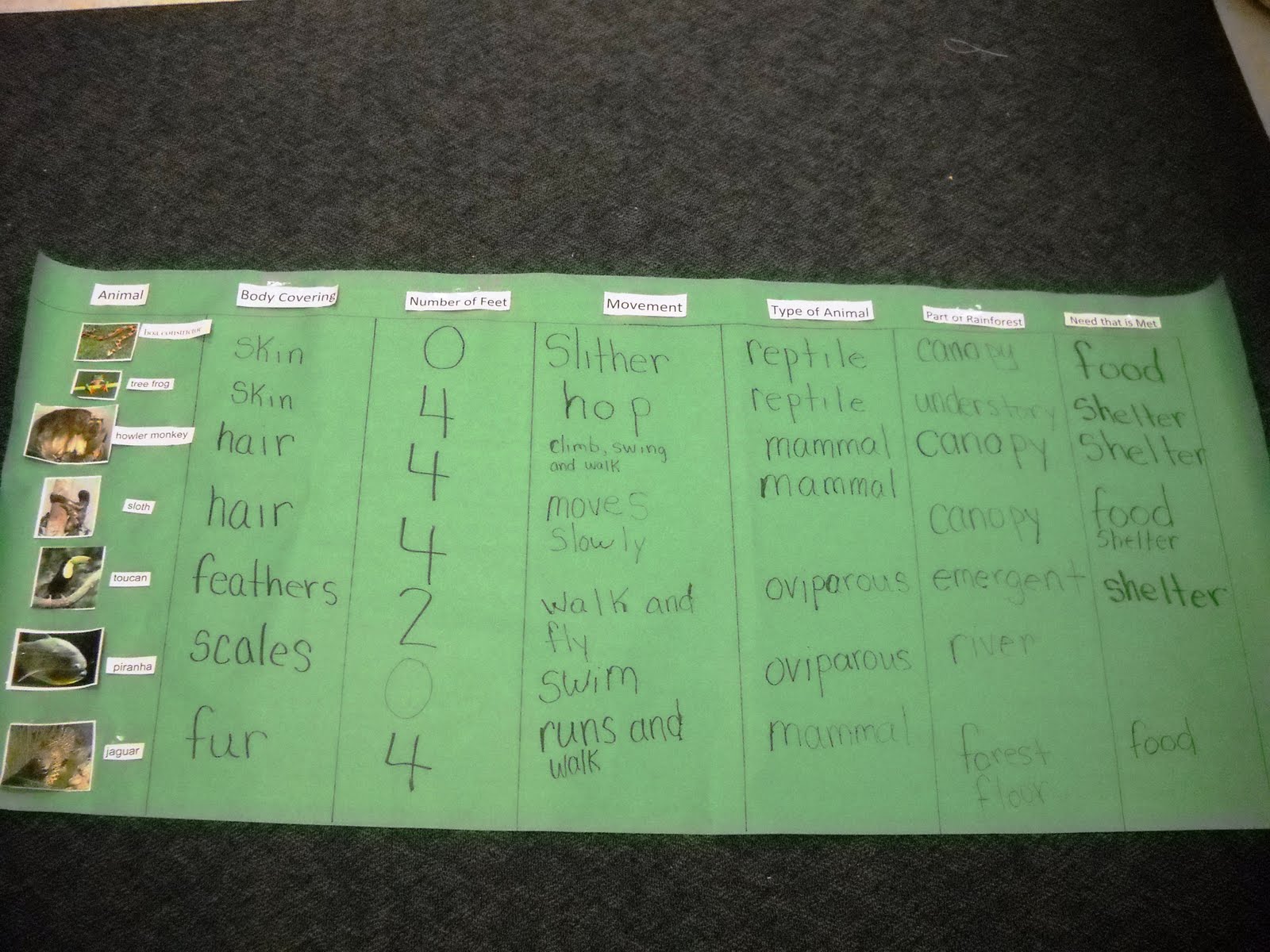 Mrs. Wood's Kindergarten Class: Rainforest