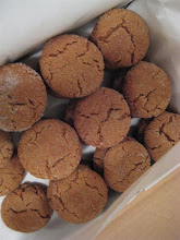 ginger spice cookies