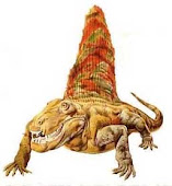 Dimetrodon