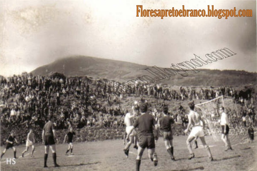 [equipa_da_fazenda.jpg]