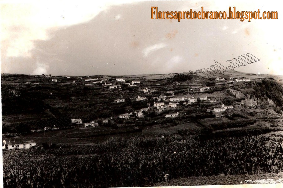 [Roberto+Fraga+023.jpg]