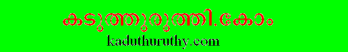 Kaduthuruthy