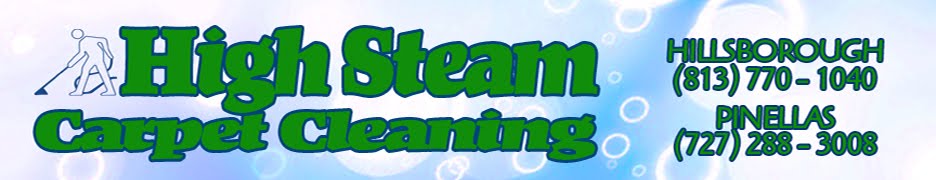 High Steam Carpet Cleaning Tampa | Tarpon Springs