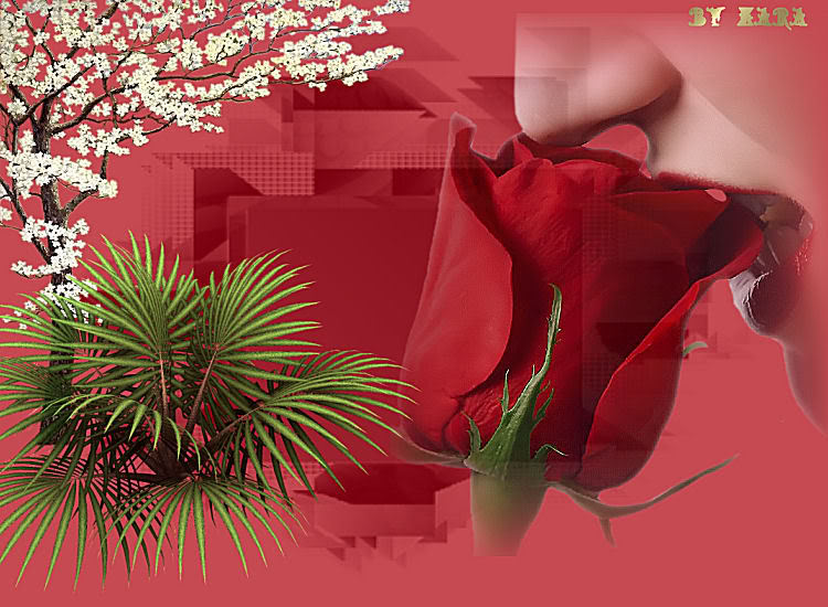 [Imagen1CABEZA-48.jpg]