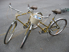 The "New' Bikes