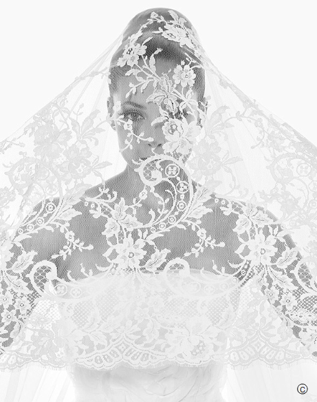 rosa clara veil