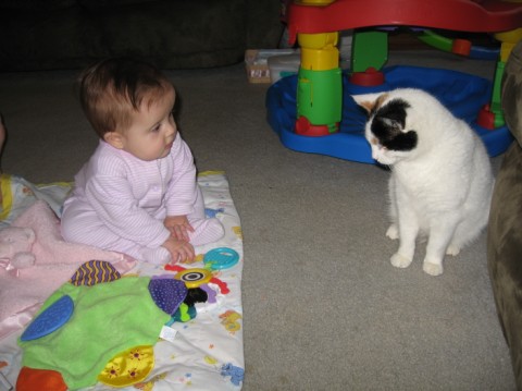 [IMG_1257+Medium+Web+view.jpg]