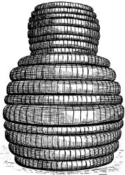 [institucional_bibantigo.jpg]