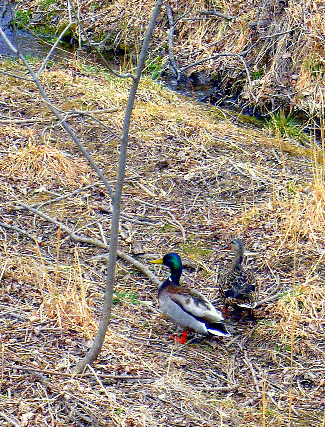 [P1040658_edited.JPG]