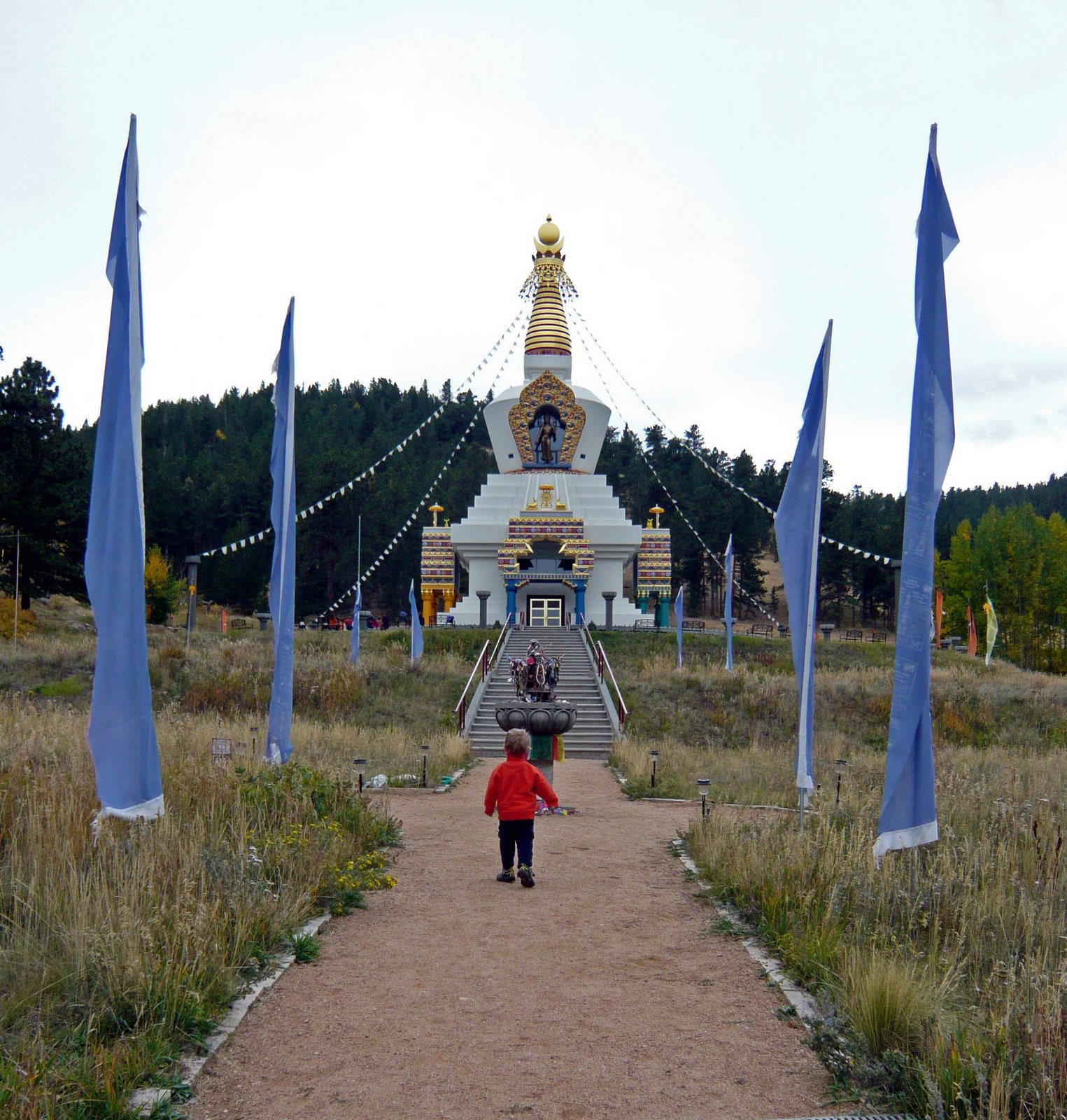 [P1010710_edited.JPG]