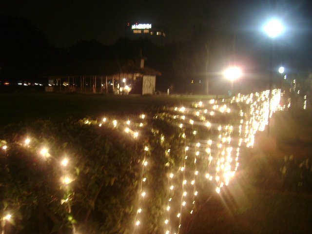 [DSC02694.JPG]