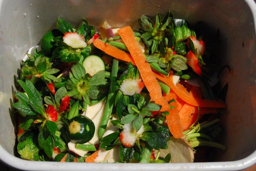 Garden amateur Compost recipe