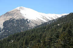 Le yayla d'Ördübek en avril