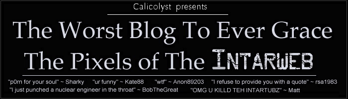 The Worst Blog To Ever Grace The Pixels of The Intarweb