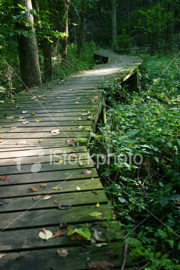 [path.jpg]